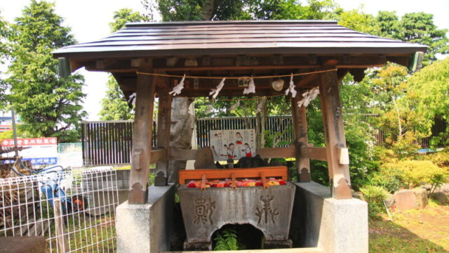 鳩ヶ谷氷川神社 薔薇手水