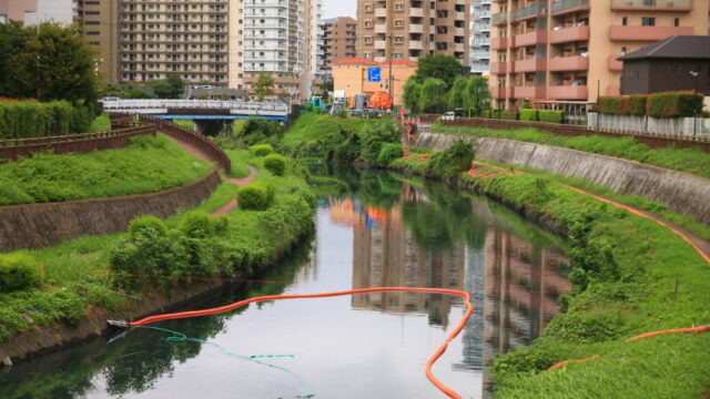 芝川