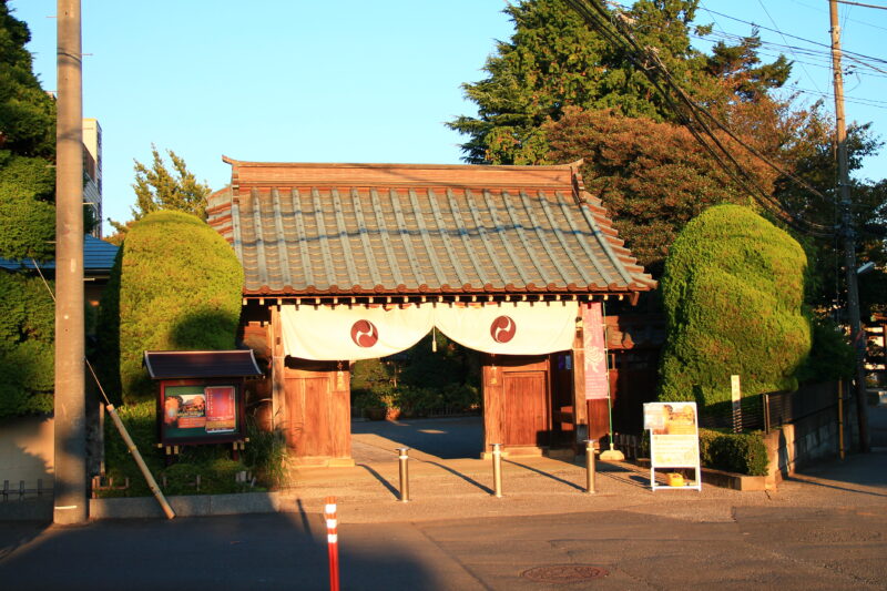 新井宿 地蔵院