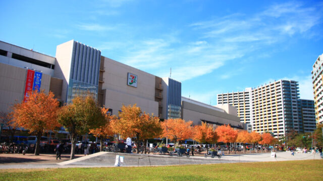 川口アリオ前 並木元町公園周辺の紅葉の様子。