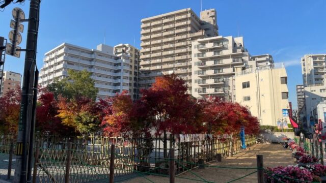 更地 樹モール 紅葉