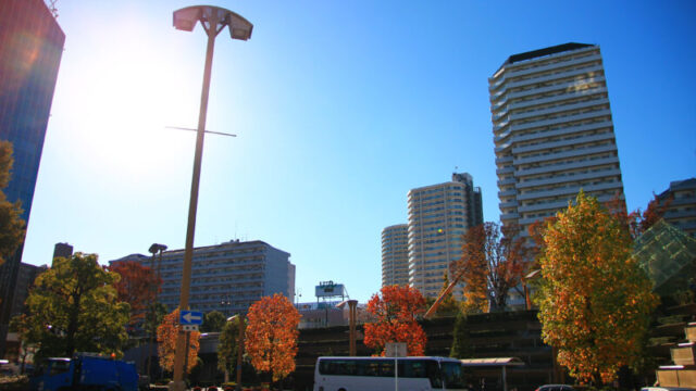 川口駅 紅葉