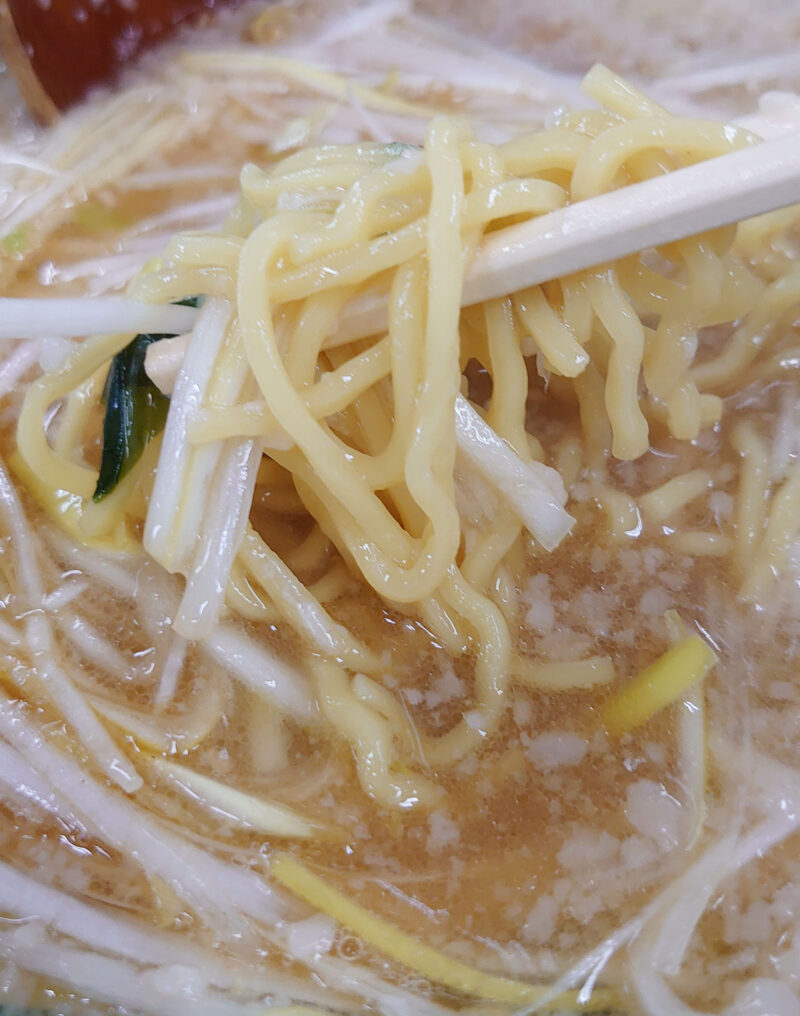 ラーメンＨＯＵＳＥリュウビ ネギラーメン