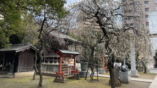 梅ノ木天神社 川口市