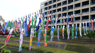芝川鯉のぼり祭り