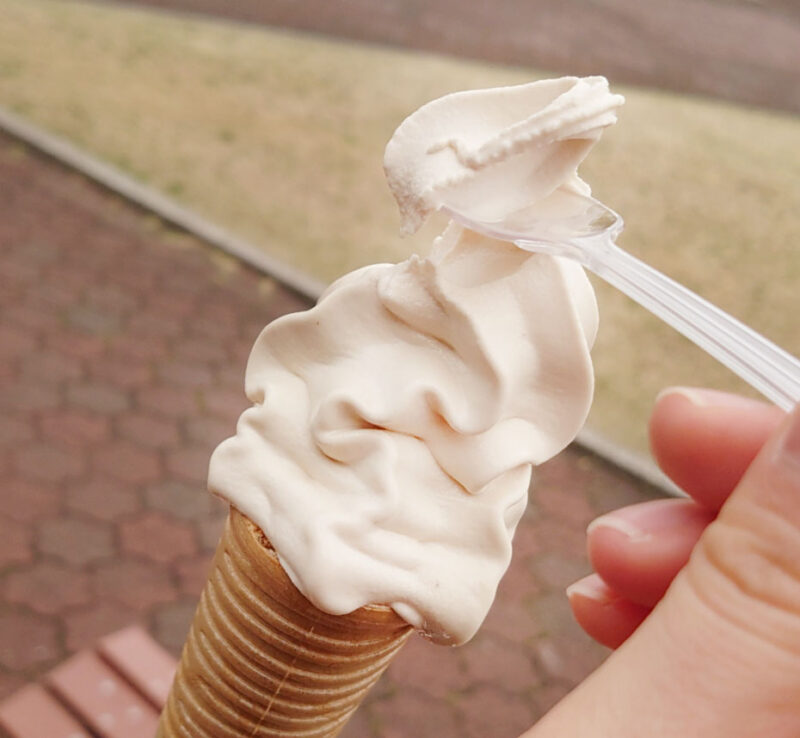 川口市立グリーンセンター　味噌ソフトクリーム