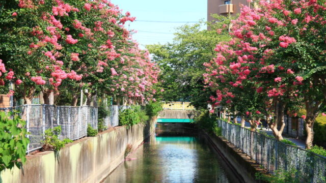 見沼代用水東縁