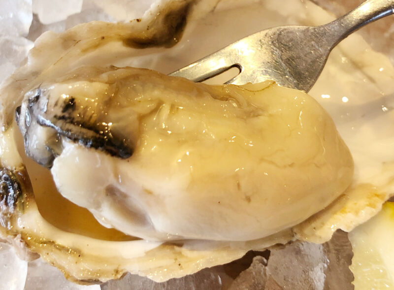 the fresca oysterbar&kitchen　川口
