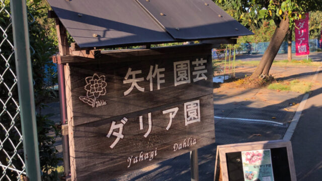 矢作園芸ダリア園　川口