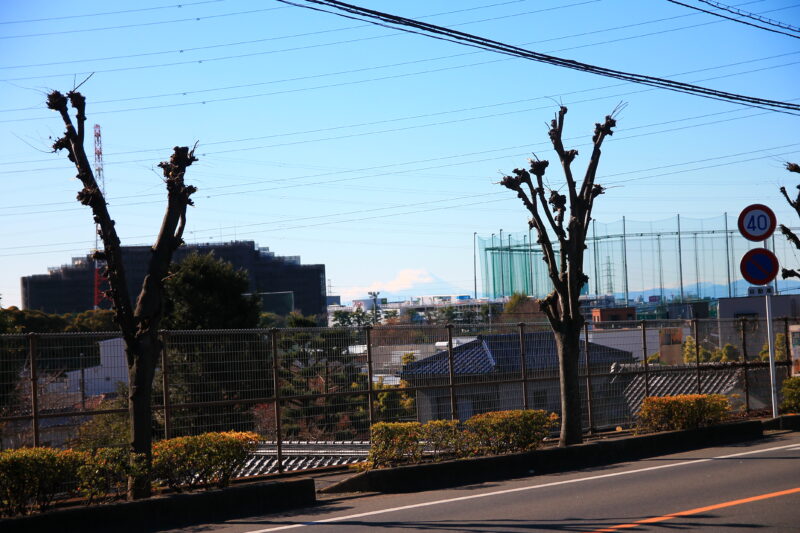 富士見二重坂