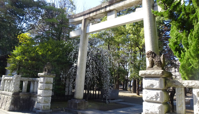 梅ノ木天神社