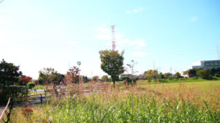 新郷東部公園
