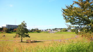 新郷東部公園