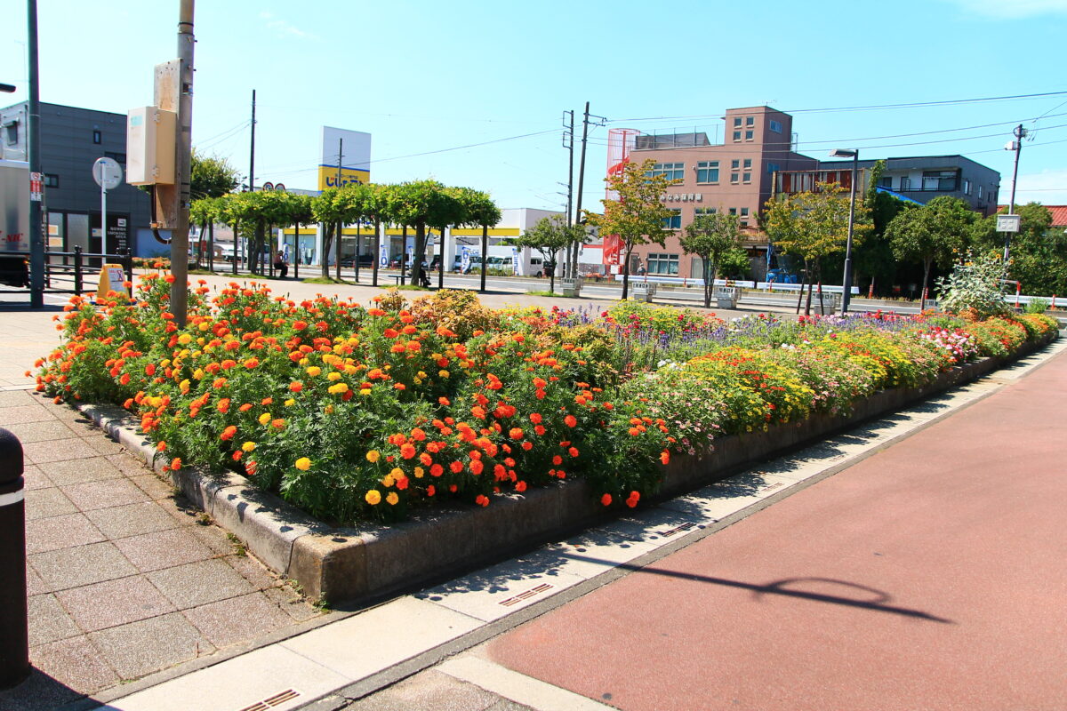 南鳩ヶ谷駅前 花壇