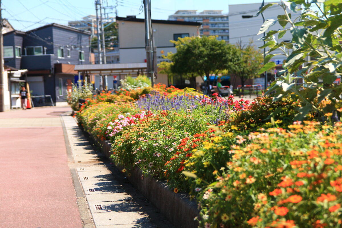 南鳩ヶ谷駅前 花壇