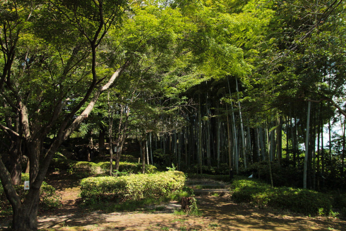 戸塚中台公園　川口