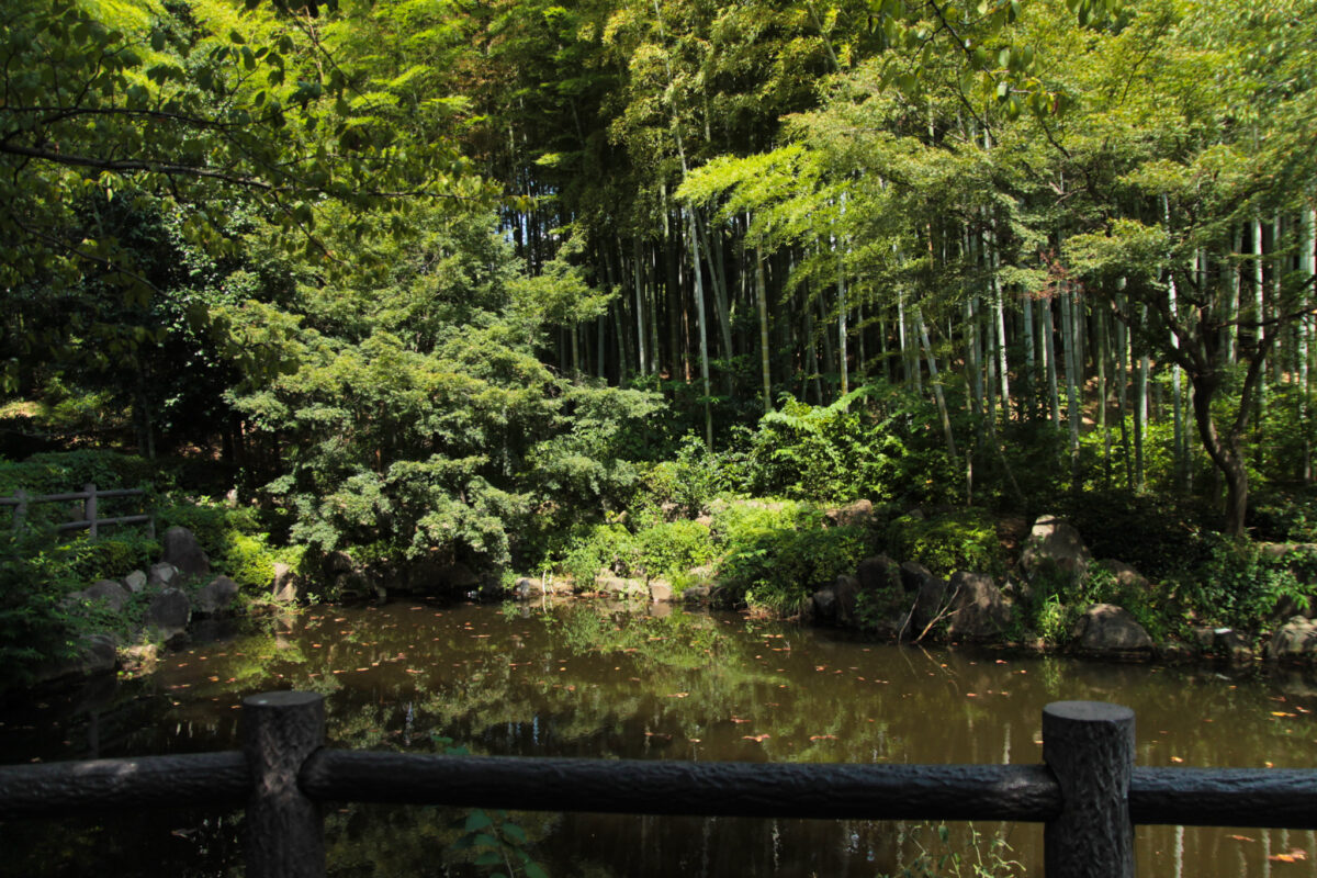 戸塚中台公園　川口