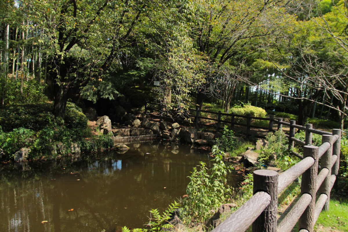 戸塚中台公園　川口