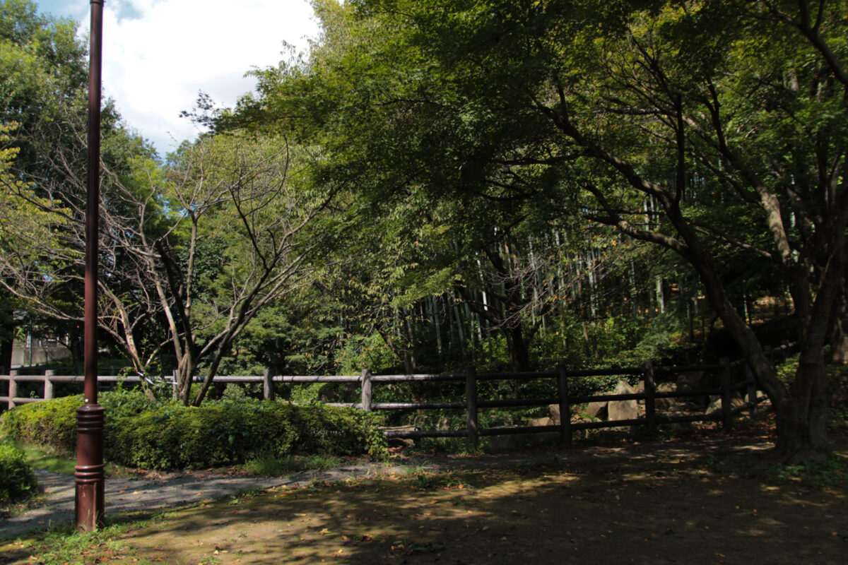 戸塚中台公園　川口