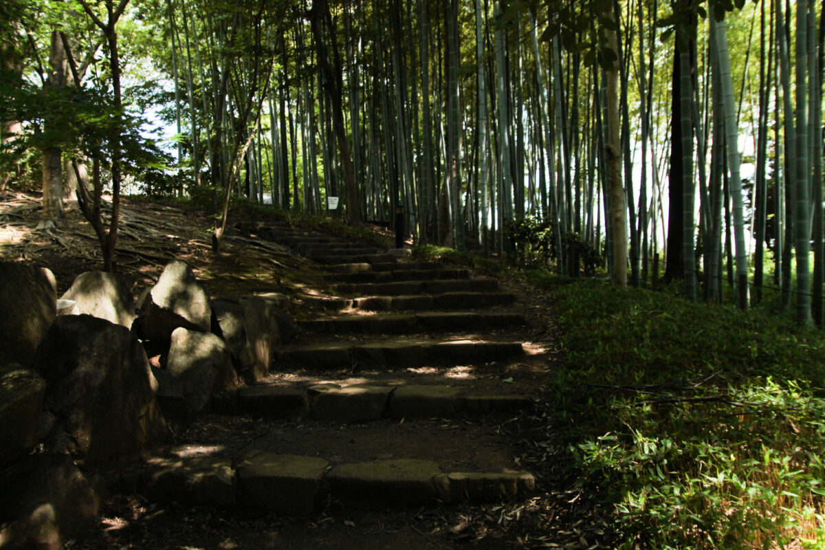 戸塚中台公園　川口