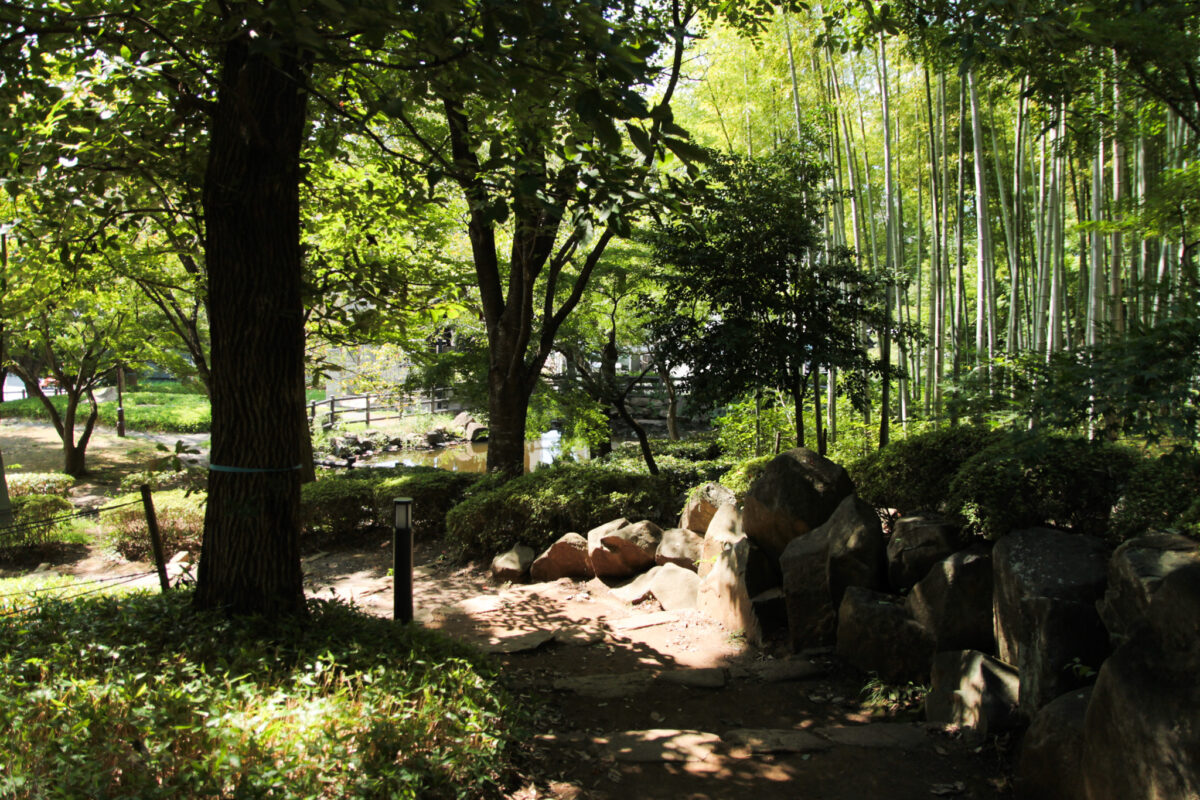 戸塚中台公園　川口