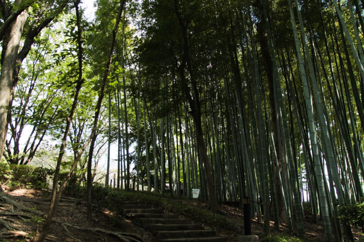 戸塚中台公園　川口