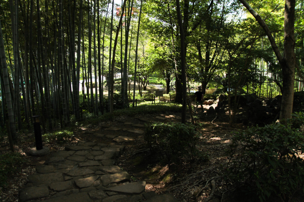 戸塚中台公園　川口