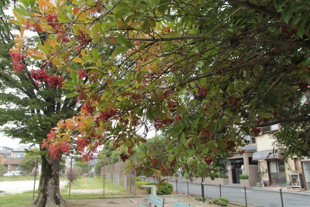 柳崎第3公園