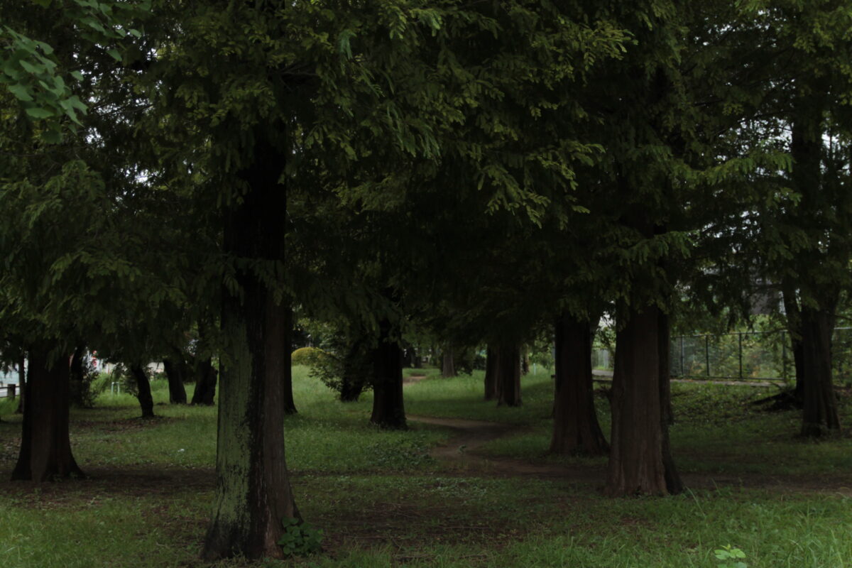 柳崎第3公園