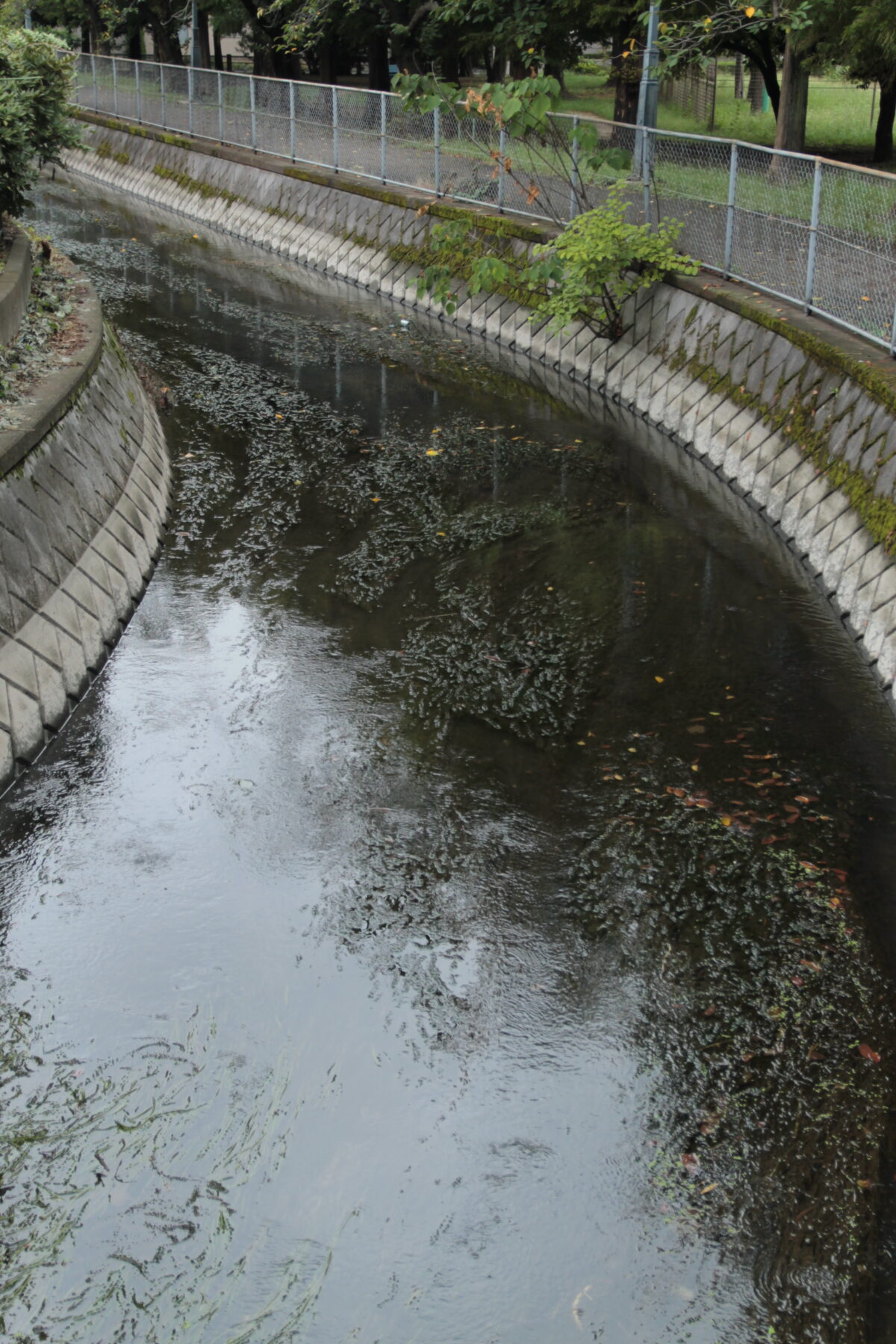 柳崎第3公園