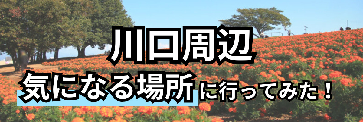 川口周辺　気になる場所