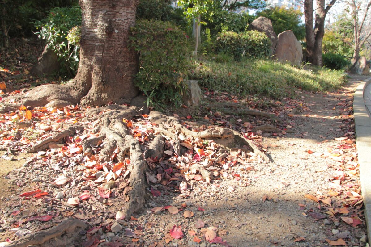 川口西公園