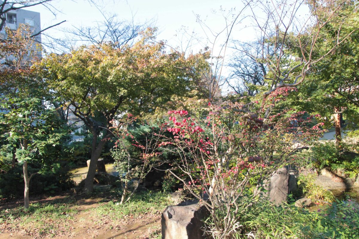 川口西公園