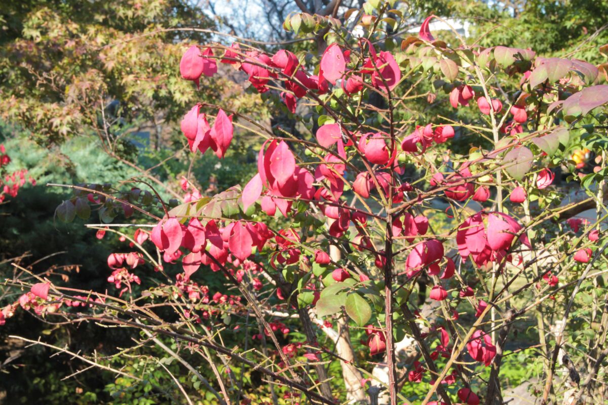 川口西公園