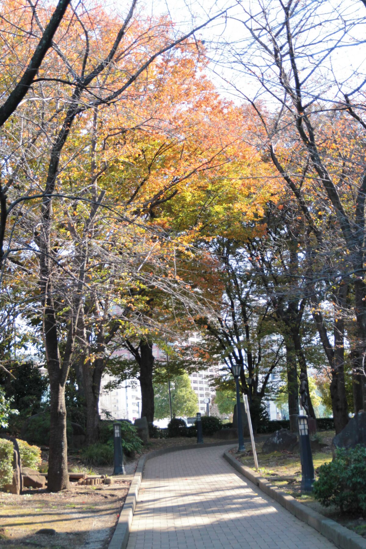 川口西公園