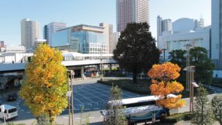 川口西公園