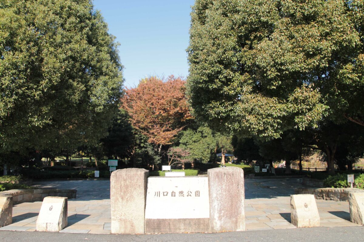 川口自然公園