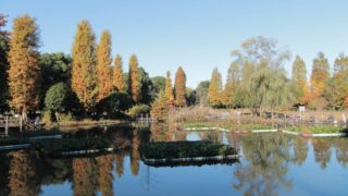 川口自然公園