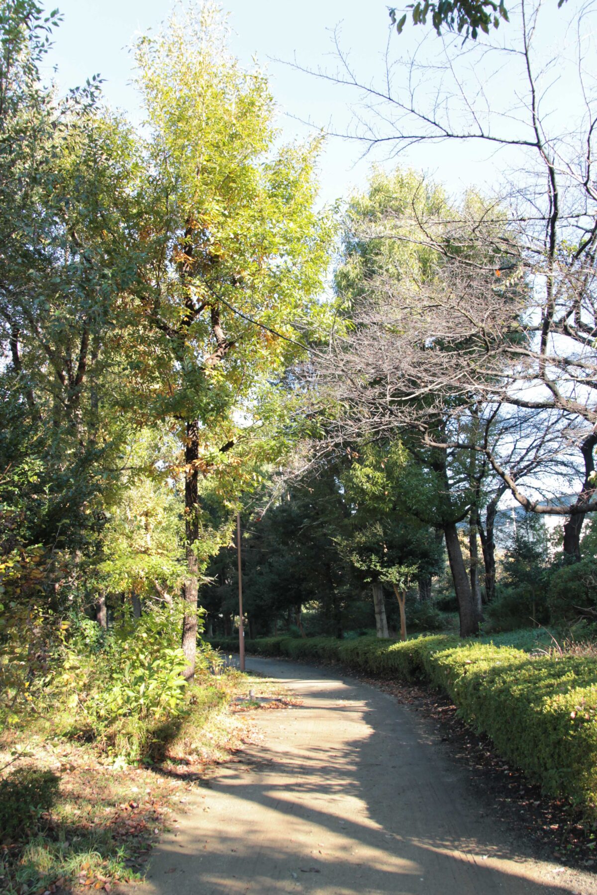 川口自然公園