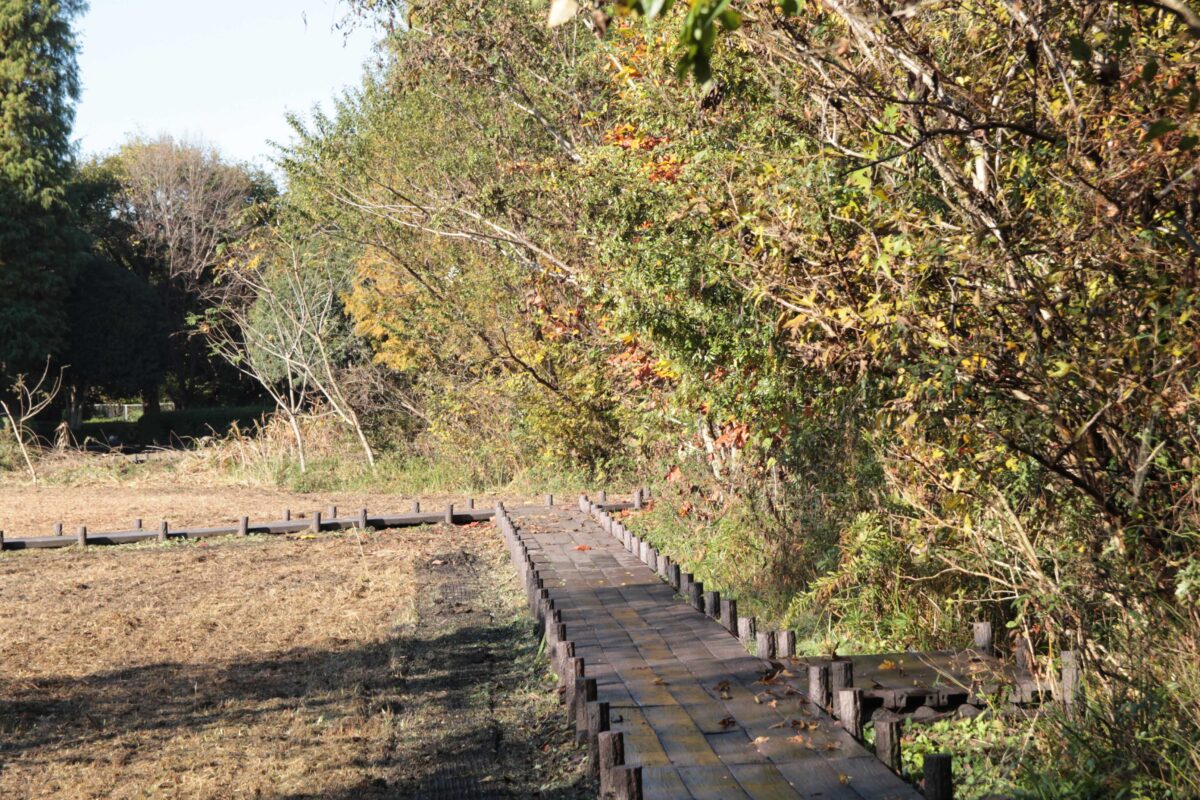 川口自然公園