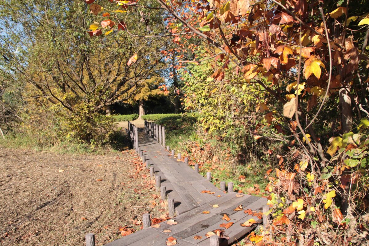 川口自然公園