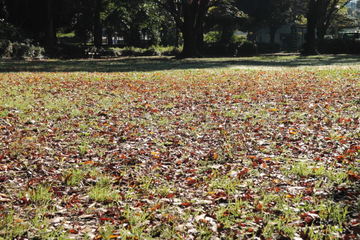 川口自然公園