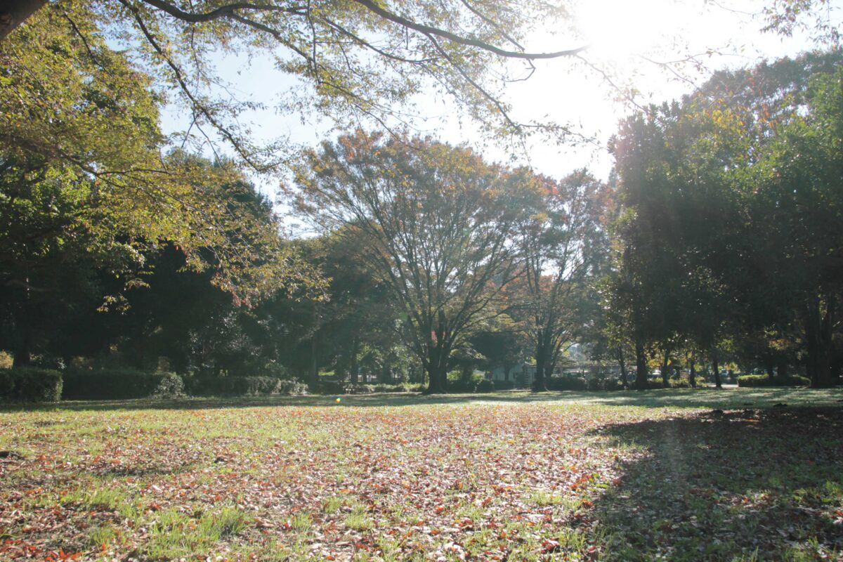 川口自然公園