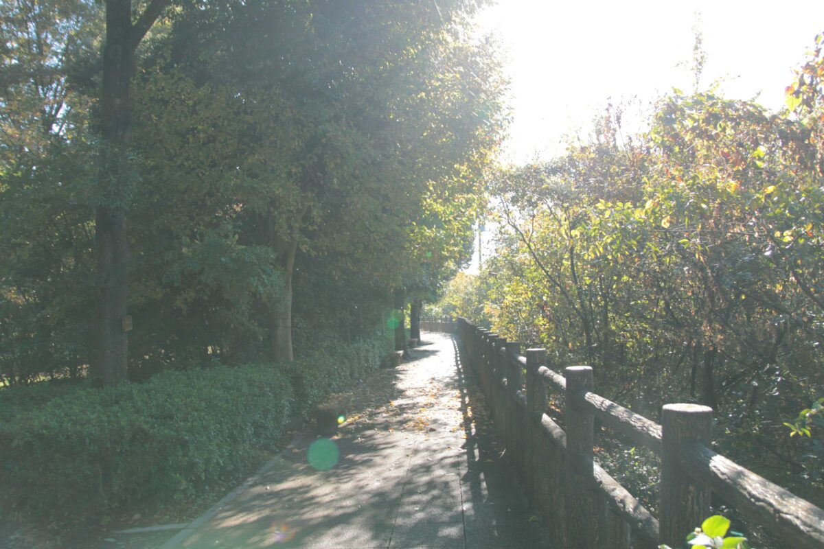 川口自然公園