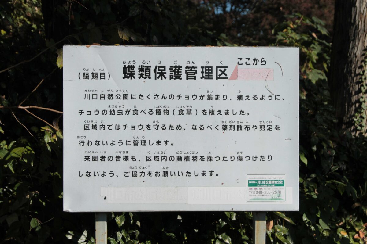 川口自然公園