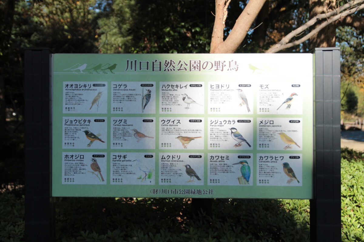 川口自然公園