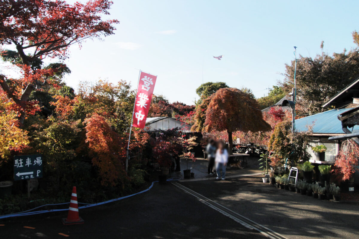 小林もみじ園　川口