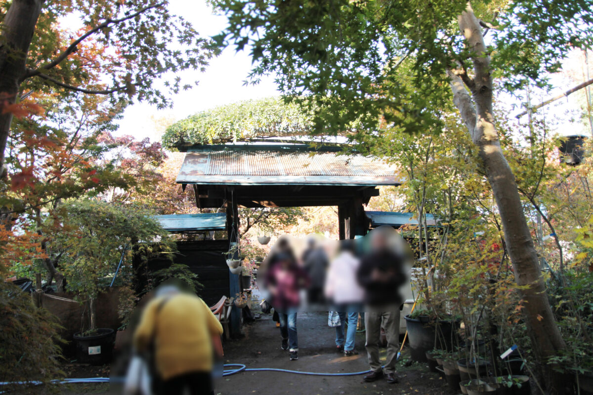 小林もみじ園　川口