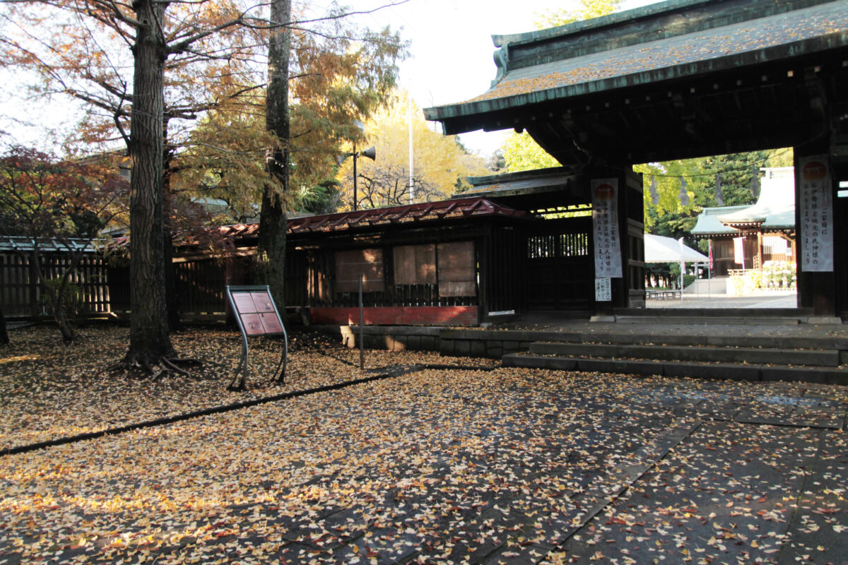 峯ヶ岡八幡神社　川口