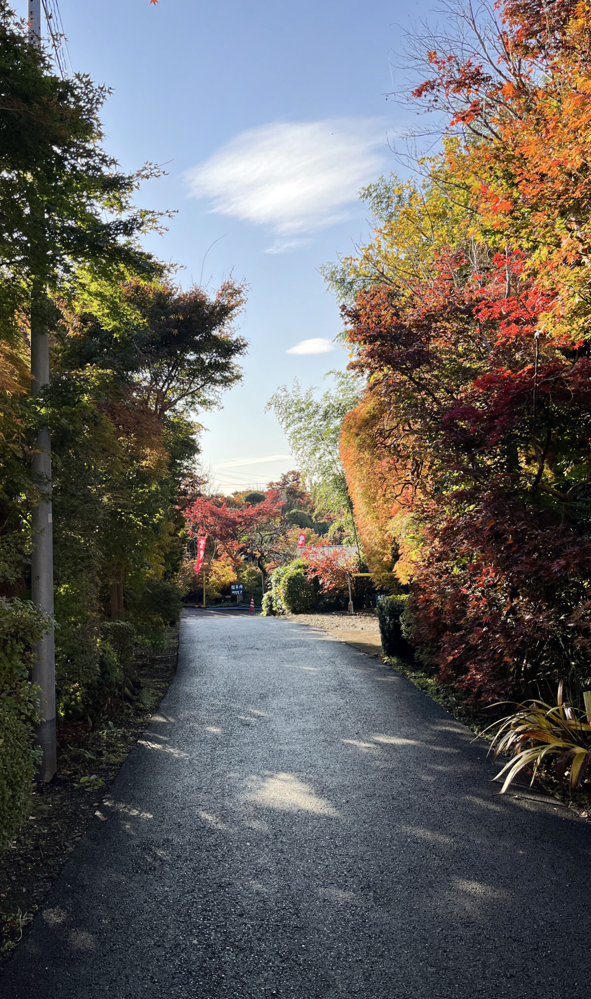 小林もみじ園　川口